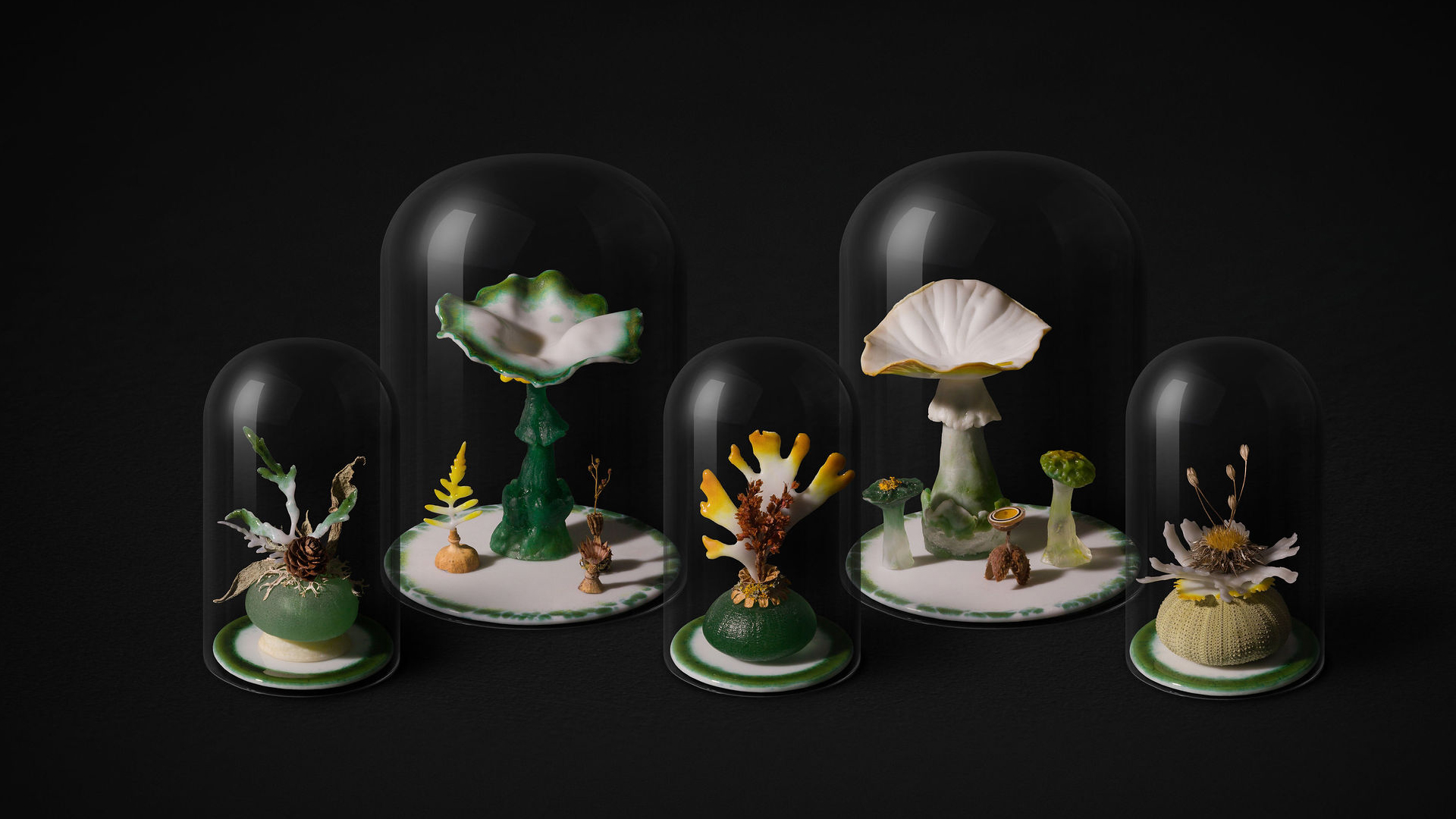 Verity Pulford Magical collections - fungi